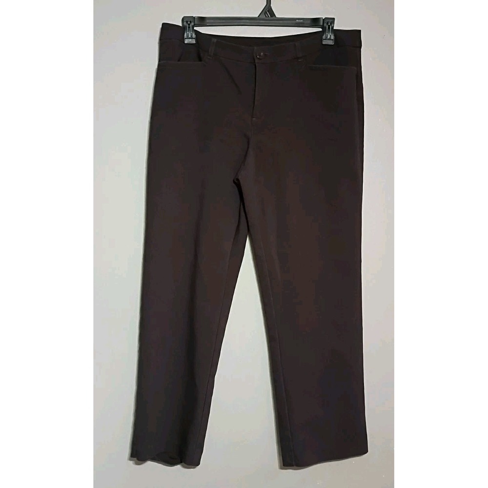 Christopher &Banks Dressing Pants Size 14